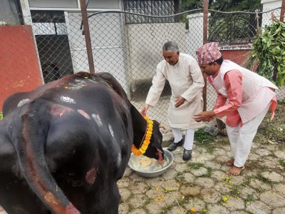  राष्ट्रपति रामचन्द्र पौडेलद्वारा गाई पूजा 